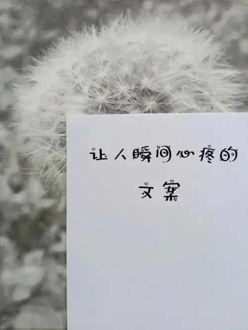 让人瞬间心疼的文案