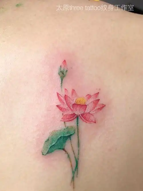 荷花_纹身图案手稿图片_阎鸿的纹身作品集