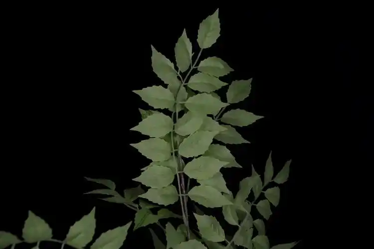 仿真花厂家凌霄叶绿植树叶酒店婚礼堂婚庆吊顶装饰道具墙假花批发