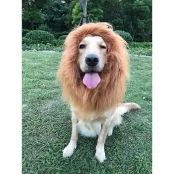 王太医宠物搞笑狮子头套假发金毛萨摩大型犬帽子头饰狗狗变身装狮子