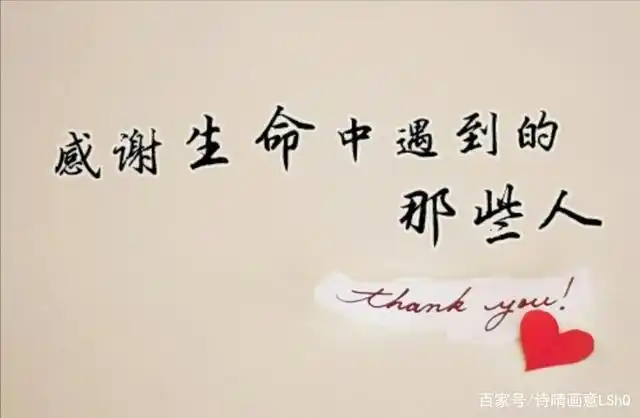 生命中的每一次遇见,都是值得我们深深感恩和永久铭记的美好