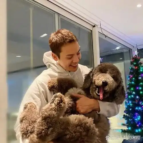 陈伟霆头像合集!保持很多热爱和一点点野心