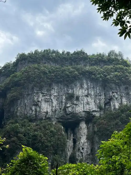 #大山深处自然美山清水秀好风光 #大自然的鬼斧神工 给身心洗 - 抖音