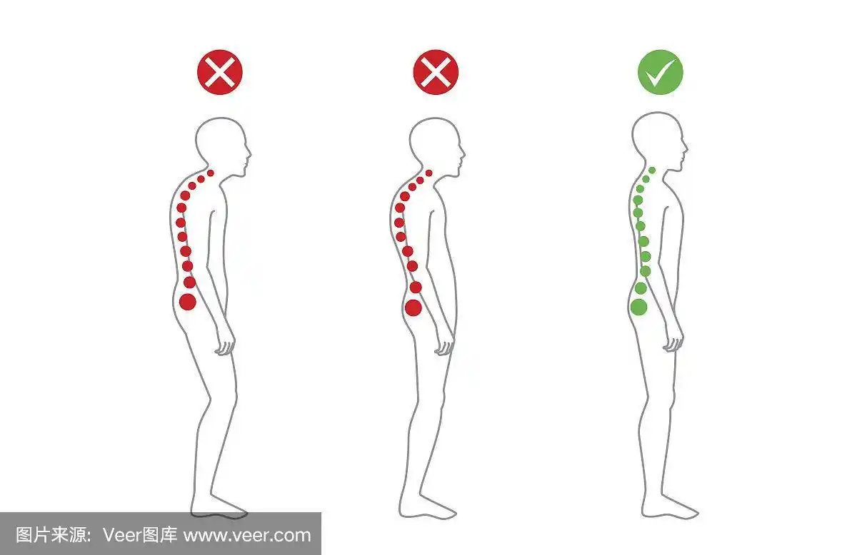 正确的站立姿势