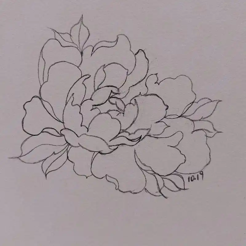 看着像牡丹 	 临摹至 #画画# #画画打卡# #简笔画教程# #画个简笔画#