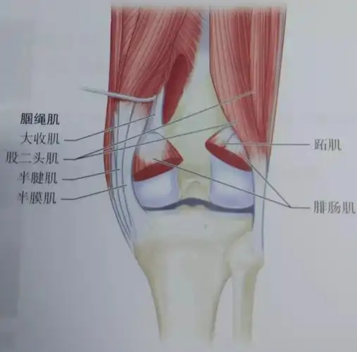 股骨髁上骨折:逆行髓内钉技术详解_医学界-助力医生临床决策和职业