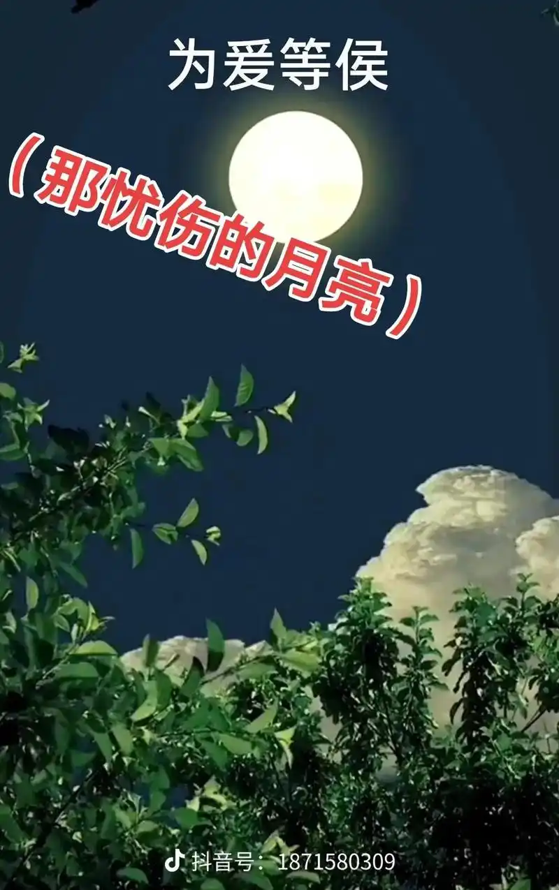 亲们中午好一首优伤的歌曲完美呈现思念爱人,亲人是非常难受, - 抖音