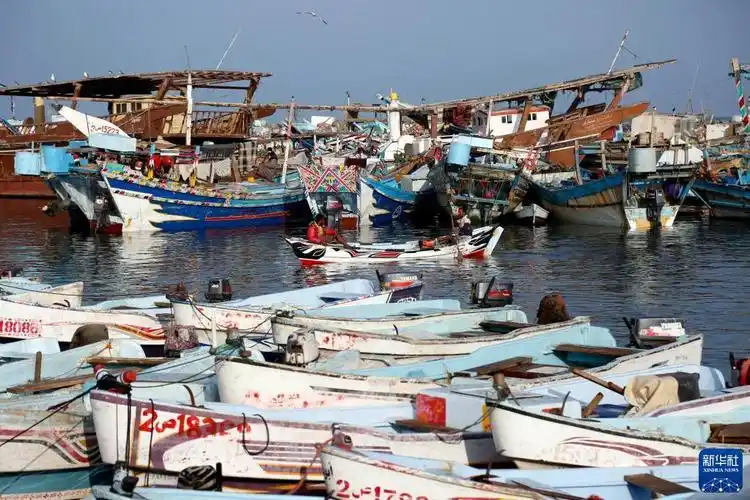 也门荷台达渔港掠影