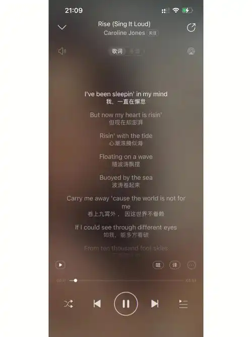 rise 特别喜欢的一首英文歌
