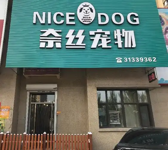 最新宠物店转让