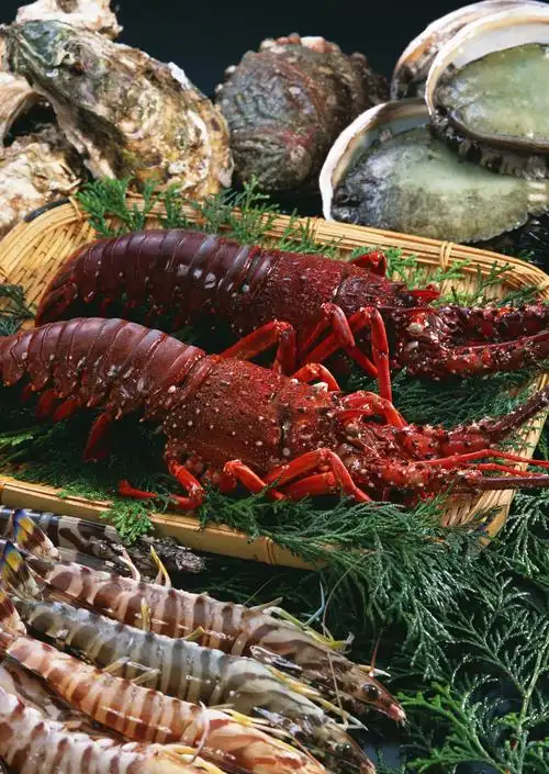 查看大图(源图)|  点击:0| 创建者:奈尔虾