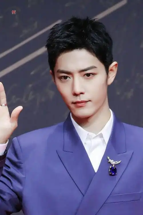 肖战帅哥的胸针