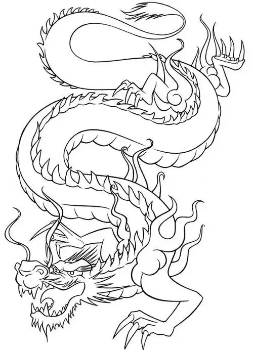 中国龙图片(高清龙纹手绘线稿资料) - 赤虎壹号