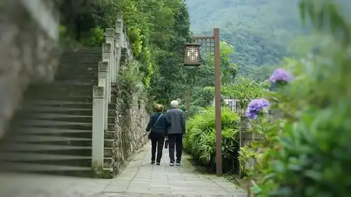 其它 牵手 写美篇如今他们老了,走不动了,看着他们不再坚挺的背影