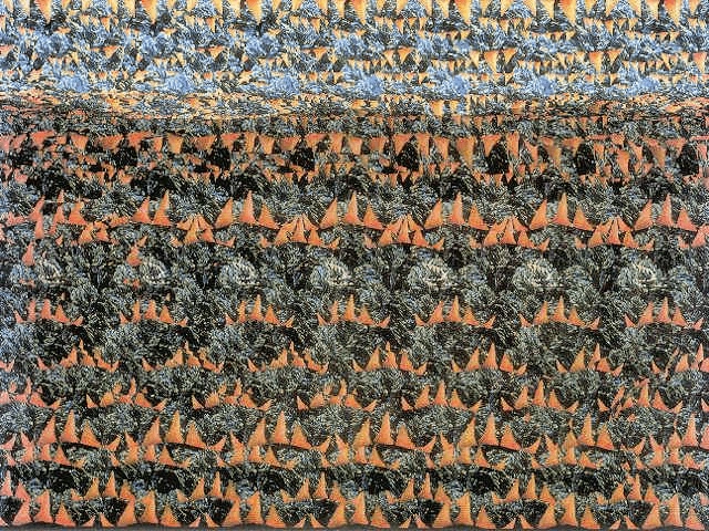 速度训练卡片---3d卡