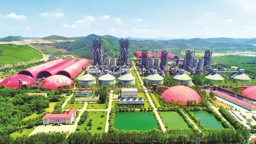 海螺集团跻身世界500强.