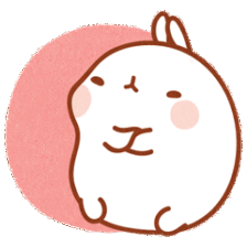 动物 萌物 插画 头像 兔子