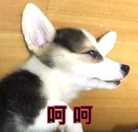 呵呵呵_呵呵表情