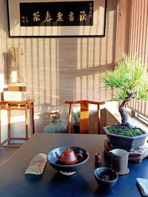 喝茶  #艺术  #泡一壶好茶  #茶室设计