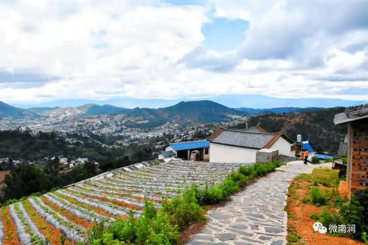 沪滇携手兴乡村,让群众"稳稳地幸福"_宝华镇_发展_帮扶