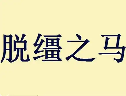 一匹脱缰的野马下一句