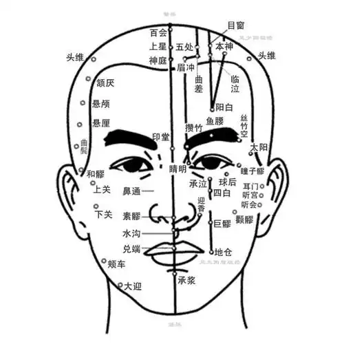 人体头部正面穴位(腧穴)分布图 - 经络腧穴 - 中医药网