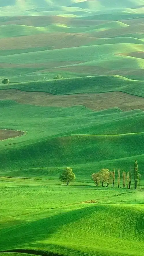 清新唯美自然美景手机壁纸_风景_手机壁纸下载_美桌网