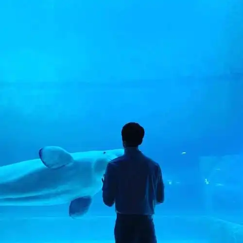 吴世勋 拿图收藏专辑或图片 /二转标明:苏时安啊