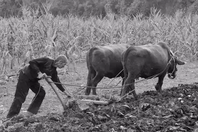 甘肃农村的老照片老家的记忆