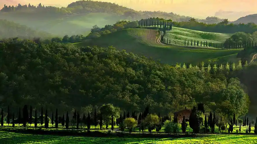 绿色护眼自然风光美景桌面壁纸-风景壁纸-手机壁纸下载-美桌网