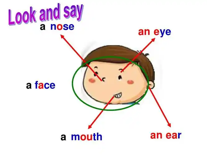 2015年秋牛津深圳版英语一年级上册《unit 3 my face》课件3ppt