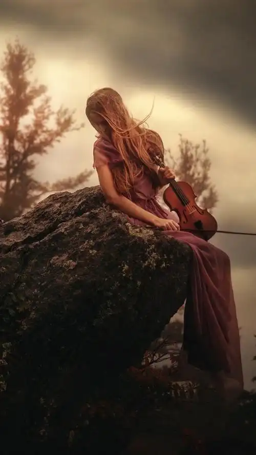 壁纸 女孩坐在石头上,小提琴,山顶上 1920x1200 hd 高清壁纸, 图片