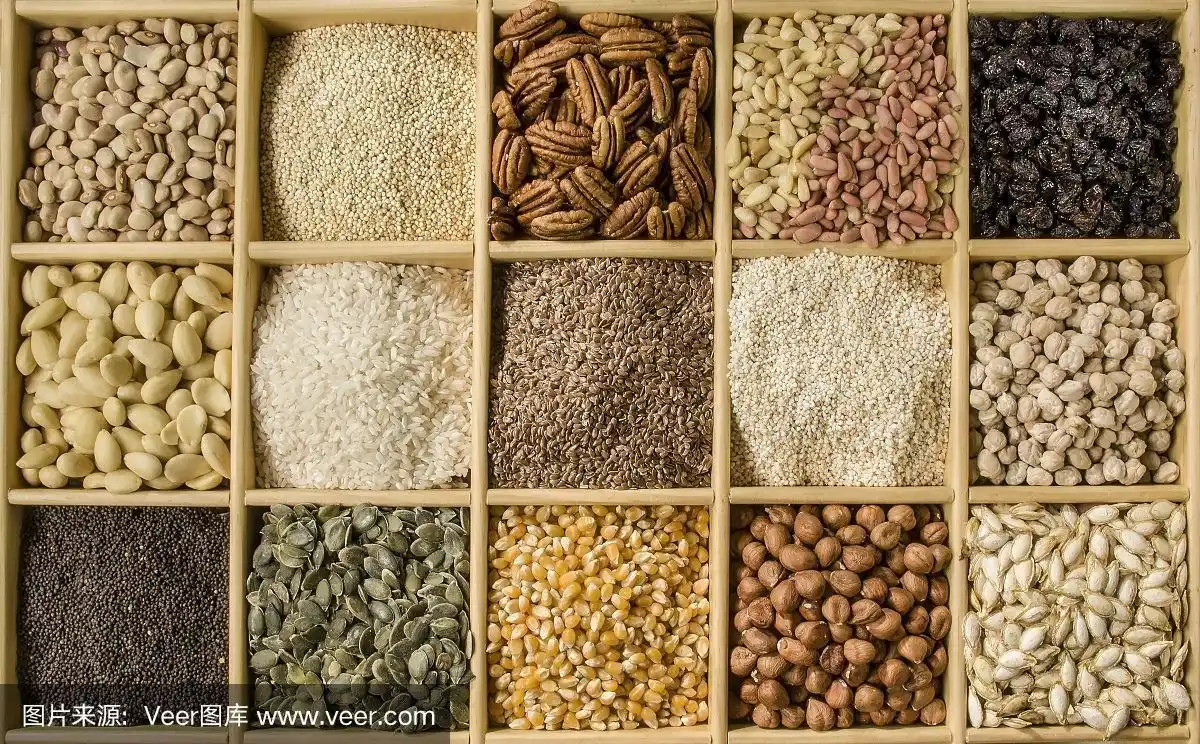 各种各样的种子箱