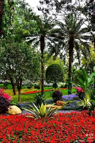 云道——串连广州最美的风景线