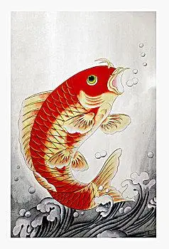 彩色国画一群锦鲤鲤鱼红鲤鱼锦鲤两个,锦鲤,鲤鱼鲤鱼红色手工鲤鱼一群