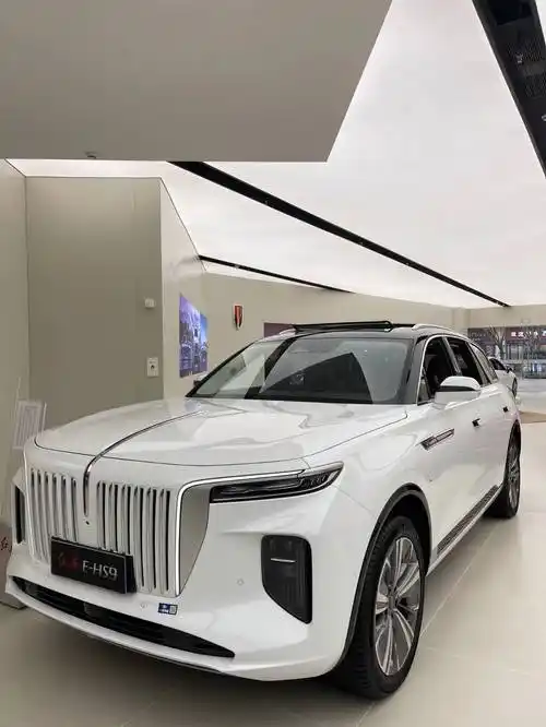 98万元起!产品力进一步增强,红旗e-hs9正式上市_搜狐汽车_搜狐网