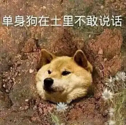 单身狗在士里不敢说话(狗狗)