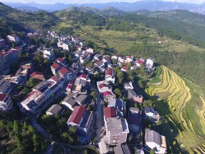 郑山梯田美丽乡村之金秋季节