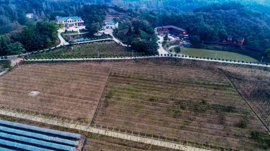 信阳市浉河区:"农业 "奏响振兴致富音-大象网