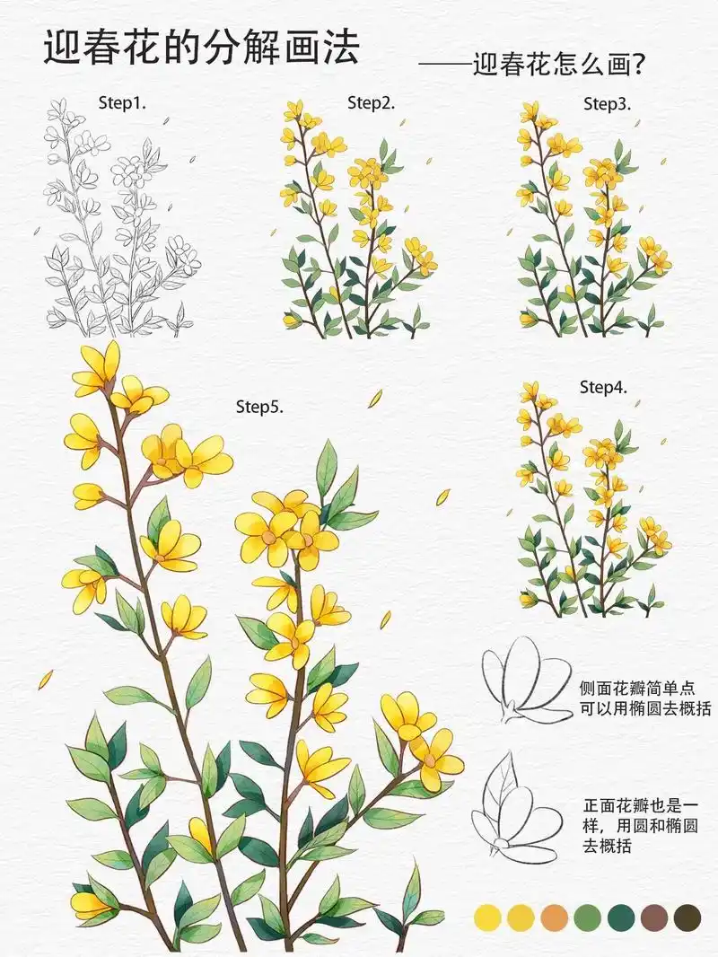 迎春花画法.#插画 #画画 #每日一画 #一起学画画 #绘画 - 抖音