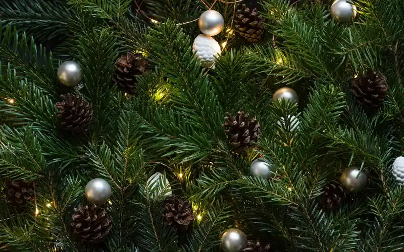 美丽的圣诞树,高清图片,电脑桌面-壁纸族