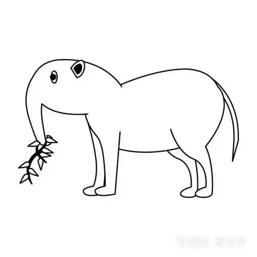 食蚁兽野生动物在黑白插画-正版商用图片09or3q-摄图新视界