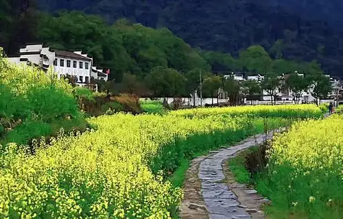 乡村风景画的上面是远处的一条小河,叮叮咚咚的泉水象琴声一样