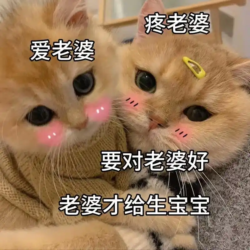 疼老婆,爱老婆才是王道  #套路表情包 #艾特你想艾特的人  - 抖音