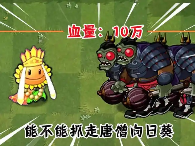 僵尸的生活攻略