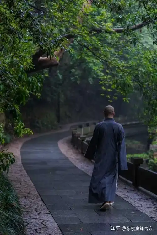 摄影故事丨小和尚镜头中的佛系人生万千世界真美如一