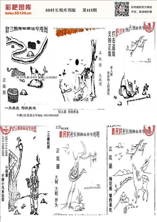 粮库村长3d系列图迷