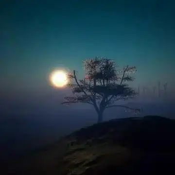 有品味成熟头像 成熟且有品位的头像_微信头像图片大全