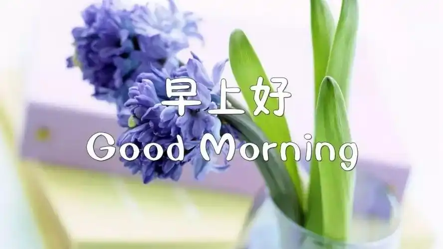 清晨早上好问候语温馨句子2021最好看早上好图片大全