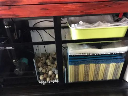 今天停电,底滤缸滤材重新摆放,把沉淀仓玻璃拆了!看着自我感觉良好!